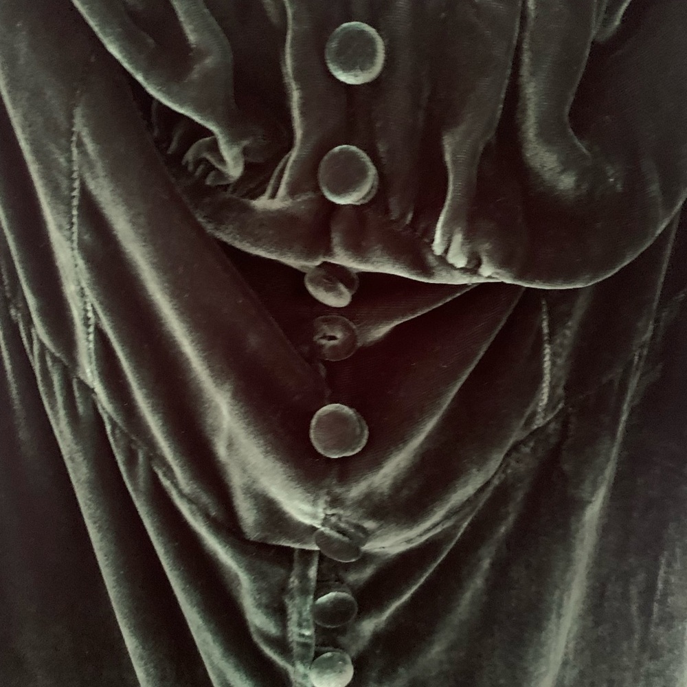 Reformation Velvet Dress - Picture 3 of 6